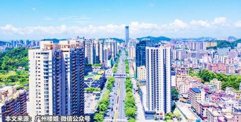 东莞楼市爆料最新消息,揭秘房价走势与热门项目曝光